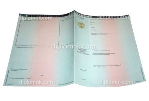 купить приложение к диплому вуза нового образца